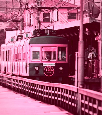 Escura - SnapRoll 菲林型數碼相機盲盒